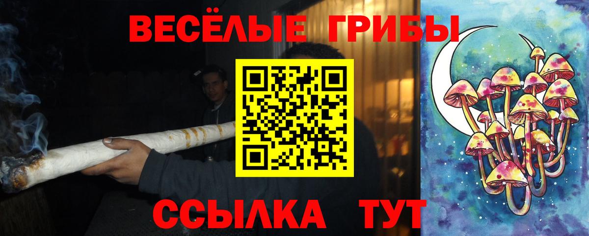 Галлюциногенные грибы мицелий  Вход с VPN  Буйнакск 