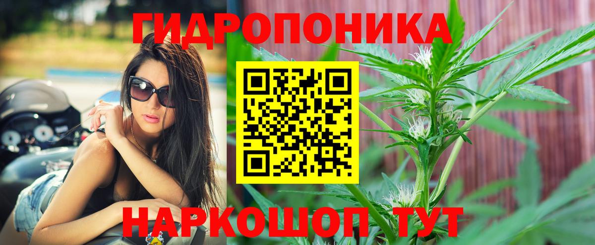 Конопля марихуана  Вход с VPN  Шишки марихуана сатива  Буйнакск 
